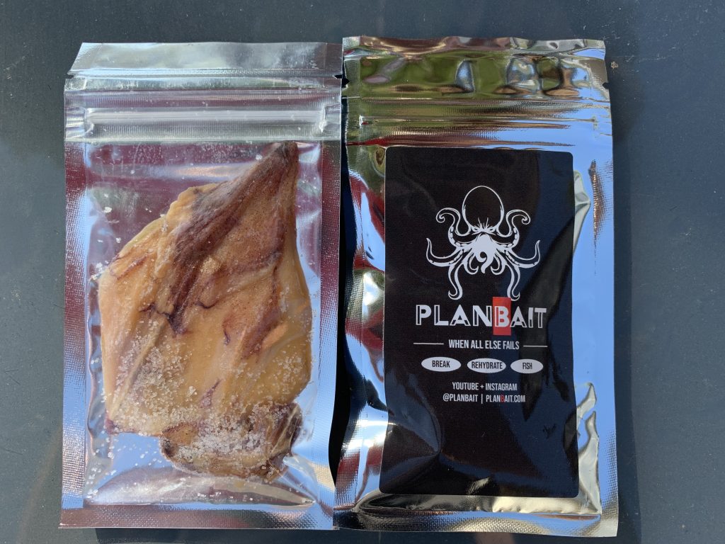 Salted and Dehydrated Squid Plan Bait