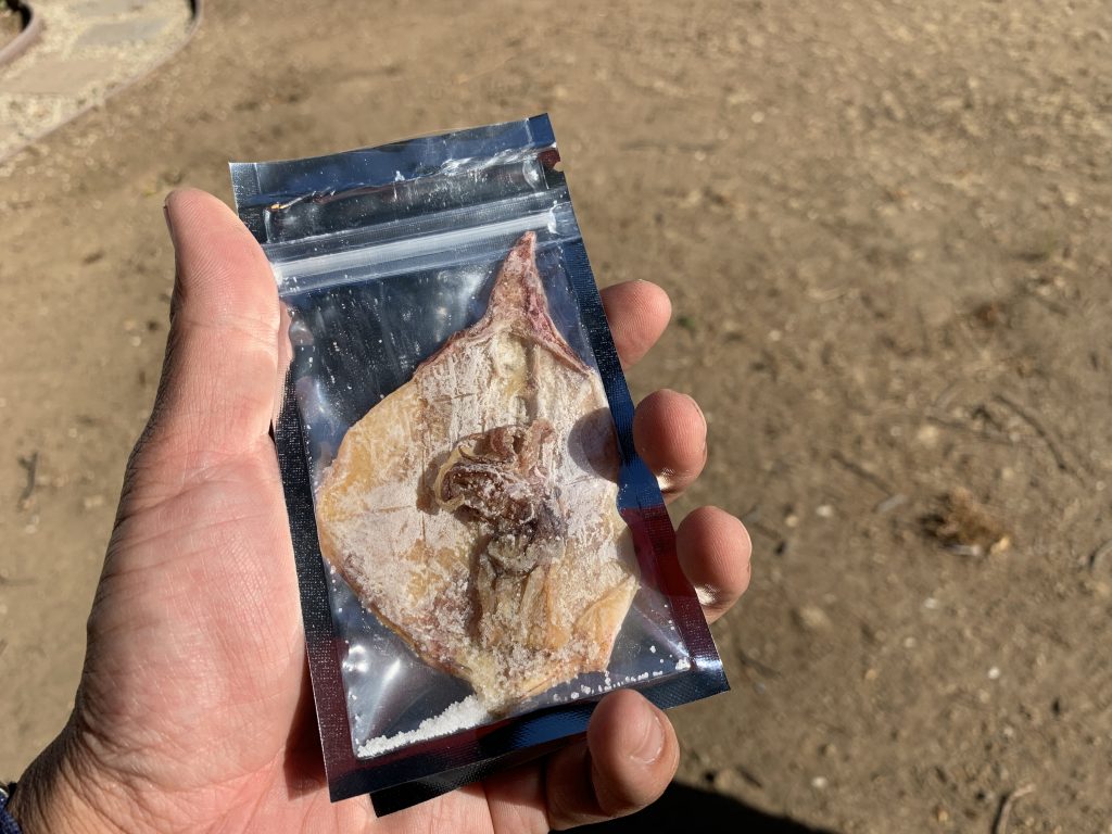 Salted and Dehydrated Squid Plan Bait