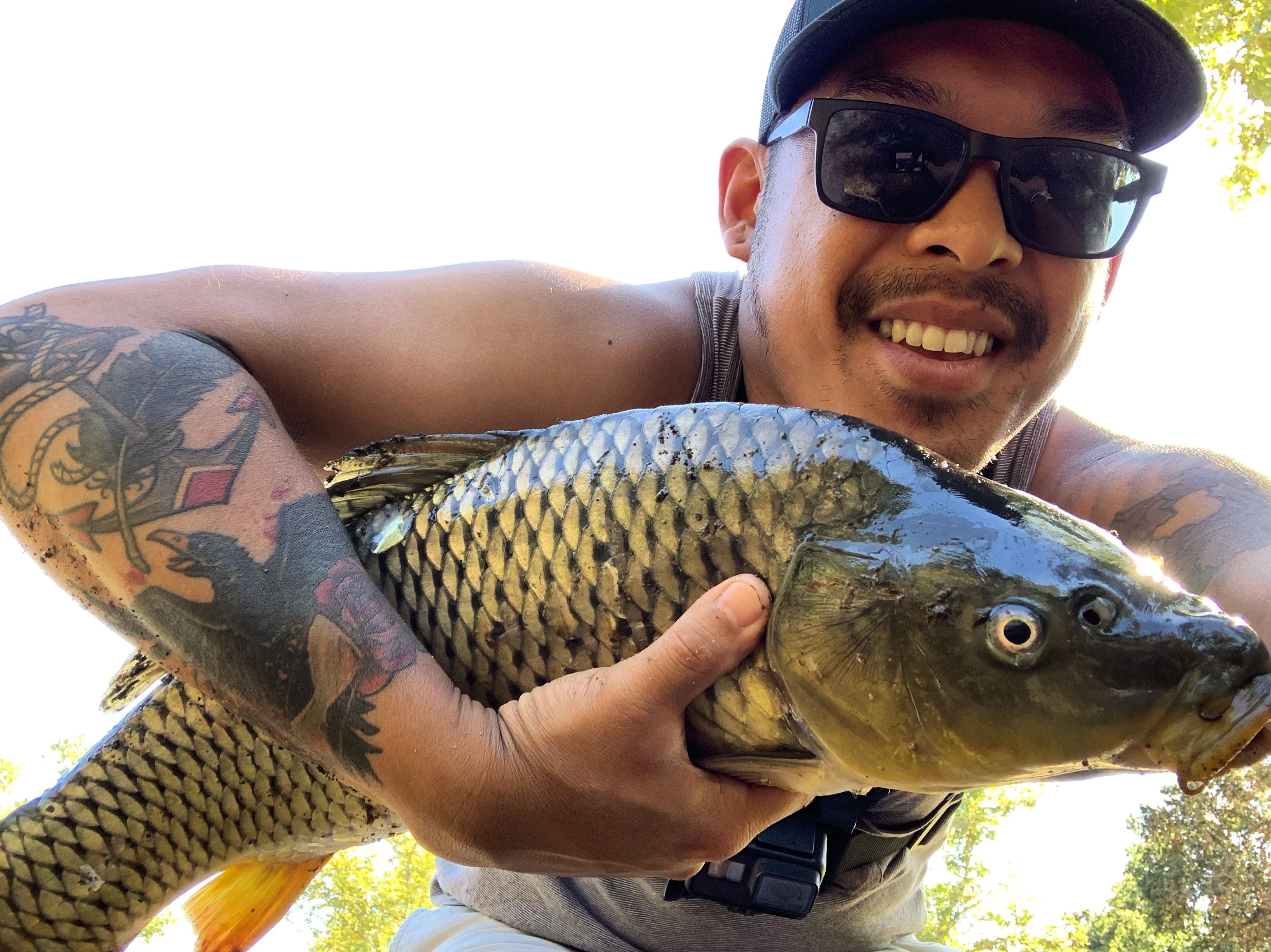 [Video] How tO Catch The World's Most Intelligent Carp on a Fly Rod