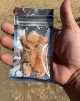 salted and dehydrated shrimp as bait