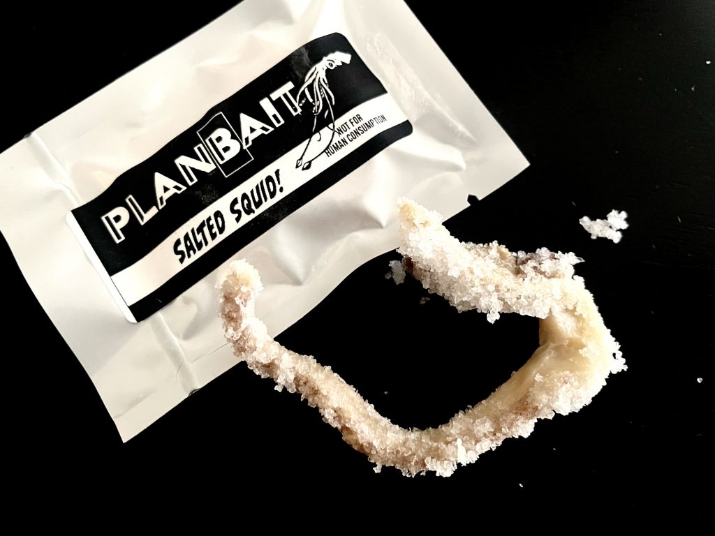 salted-squid-bait-plan-bait