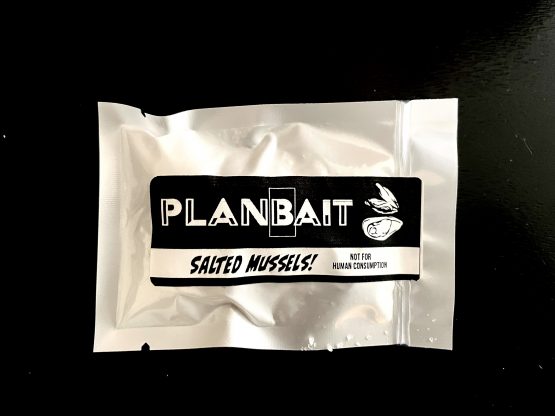 plan bait salted mussels