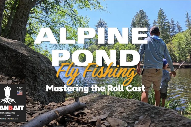 alpine pond fishing and mastering the roll cast